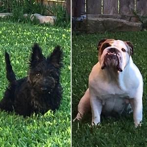 Meet your Posher, Lundi